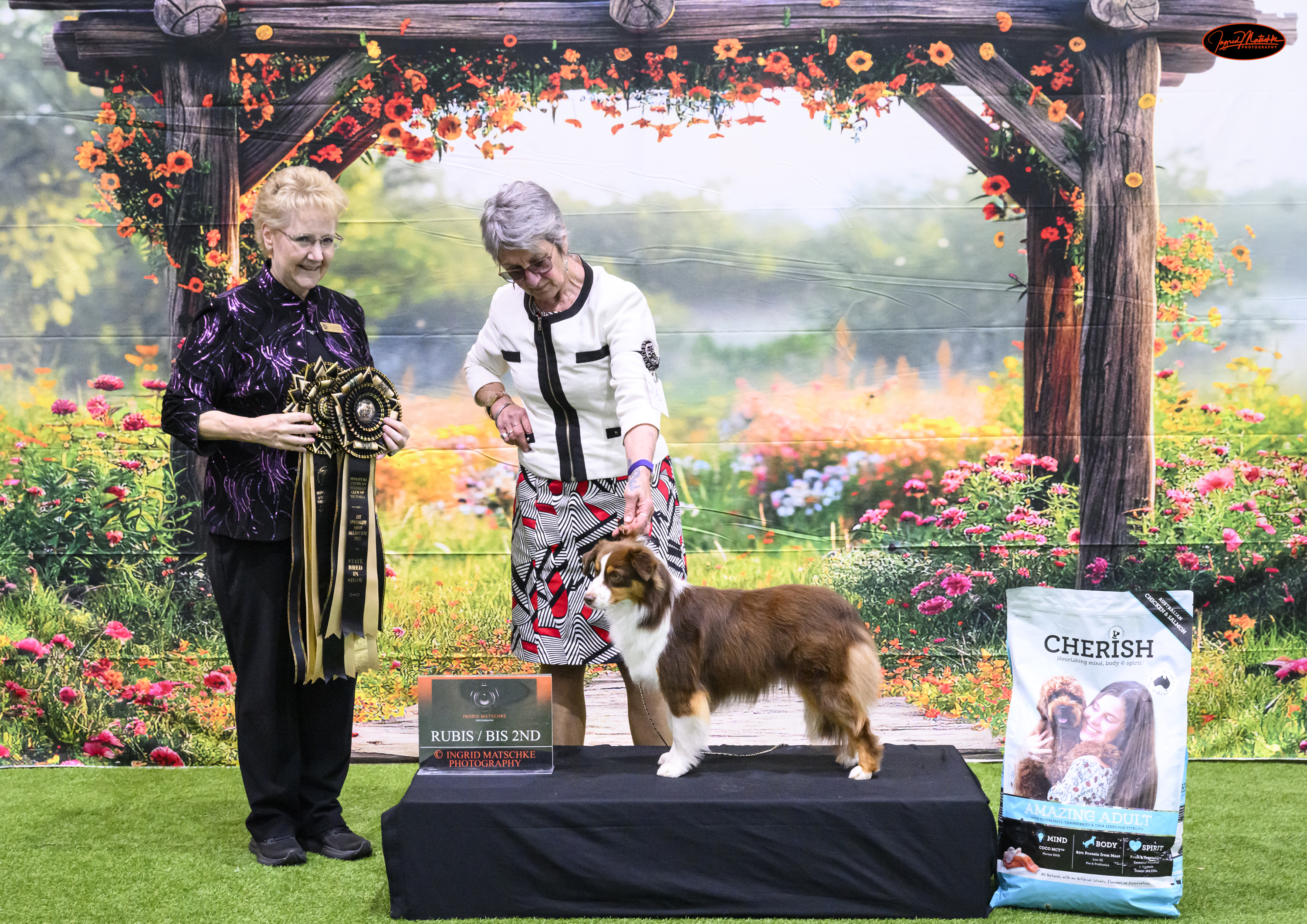 Runner Up Best in Show - AUST CH SKYEFALL SOME LIKE IT HOT